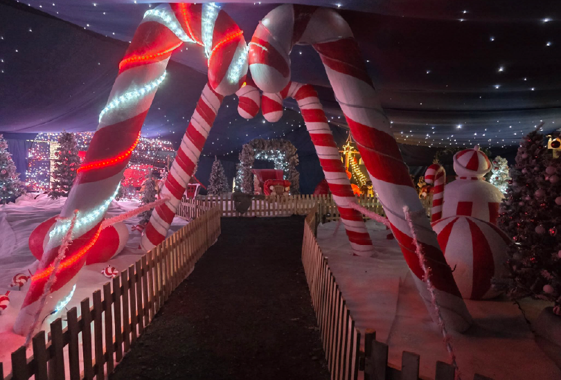 The Magical Christmas Adventure